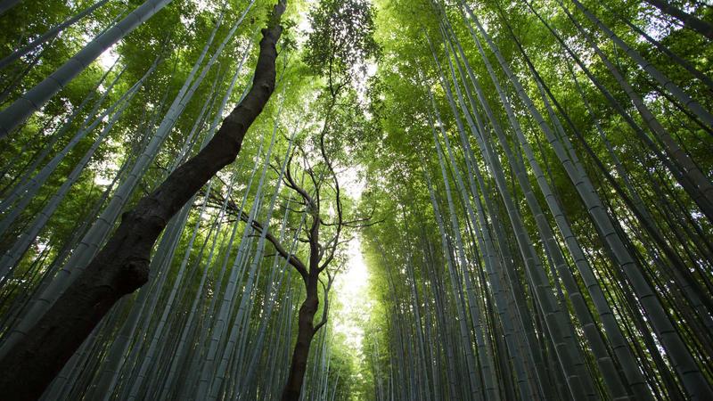 禁漫天堂7x24小时快速响应客户服务